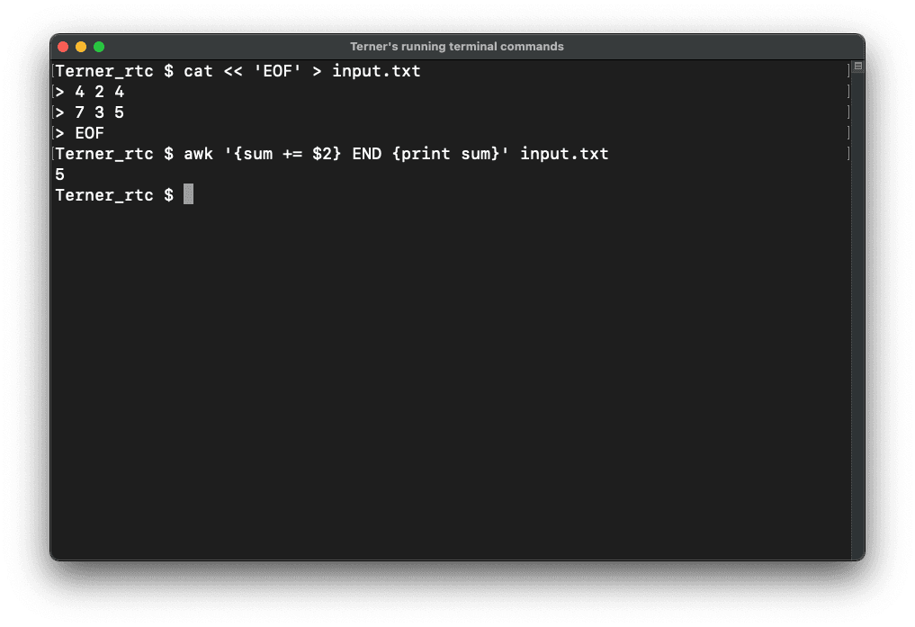 A terminal screen showing the result 5, obtained by summing the values ​​in the second column of input.txt using the awk command.